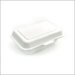 Biodegradable Bagasse Container for salad